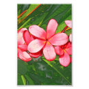 Recherche de dessin photographie Fleurs