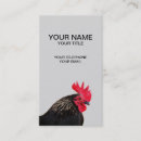 Recherche de coq noir cartes visite Animal