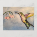 Recherche de de colibri cartes postales Peinture