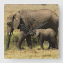 Recherche de éléphant horloges Veau