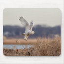 Suche nach schneeeule mousepads Natur