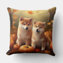 Recherche de shiba inu coussins Animal de compagnie