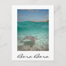 Suche nach stingray postkarten Stechen