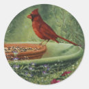 Recherche de cardinaux autocollants Oiseaux