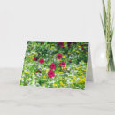 Suche nach rot gelbe blume postkarten Feld