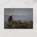 Recherche de eagle cartes visite Patriotisme