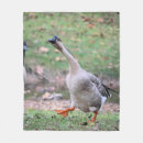 Suche nach gans decken Albern