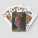 Recherche de teckel jeux de cartes Chien