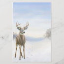 Suche nach weiße schwanzrotwild Kitz