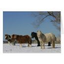 Suche nach miniaturpferde postkarten Schnee