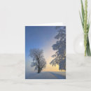 Suche nach schnee kleine grußkarten Fotografie