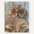 Suche nach tiger kleine notizbücher Wildkatzen