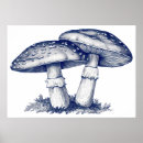 Suche nach antik poster Natur