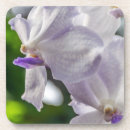 Recherche de orchidées dessous de verres Blanc