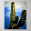 Suche nach phoenix poster Wüste