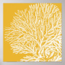 Recherche de translucide posters Corail