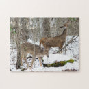 Recherche de queue puzzles Nature
