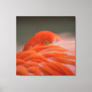 Suche nach rosa flamingo leinwandbilder Natur
