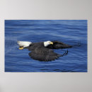 Suche nach kenai halbinsel poster Usa