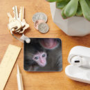 Recherche de macaque porteclés Young animal