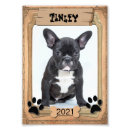 Recherche de amant animal posters Pour animaux