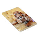 Recherche de perte de mémoire magnets Animal