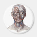 Recherche de anatomie humaine magnets Santé