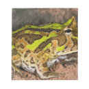 Recherche de grenouille blocsnotes Nature