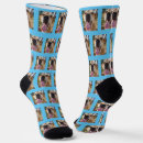 Recherche de visage chien chaussettes Animal