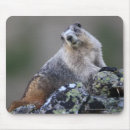 Suche nach murmeltier mousepads Natur