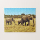 Suche nach masai puzzle Afrika