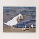 Recherche de swan puzzles Cygnes