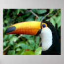 Recherche de paraguay posters Tourisme