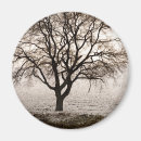 Suche nach kälte magnete Im freien