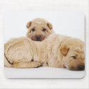 Suche nach schlafend mousepads Haustiere