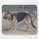 Suche nach schäferhund mousepads Natur