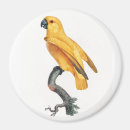 Suche nach parrot magnete Vogelvogel