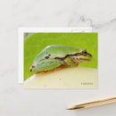 Suche nach grüner baumfrosch postkarten Tierfotografie