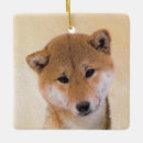 Recherche de shiba ornements Inu