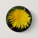 Recherche de multi région accessoires Fleurs