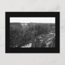 Recherche de d araignée cartes postales Noir et blanc