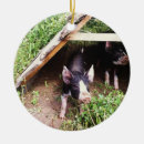 Suche nach weihnachtsschwein ornamente Ferkel