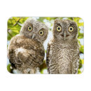 Recherche de poussins magnets Oiseaux et fleurs