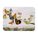 Recherche de fée papillon magnets Coloré