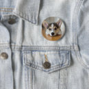 Suche nach corgie buttons Pembrauner weißer korgi