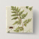 Recherche de fougère badges Décoratif