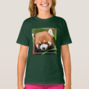 Recherche de panda roux Chine