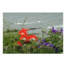 Suche nach st andrews poster Schottland