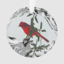 Recherche de joli oiseau ornements Faune
