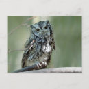 Recherche de capture cartes postales Faune